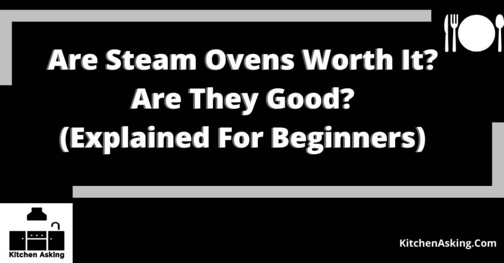 Are Steam Ovens Worth It Are They Good
